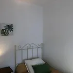 Santa Ana * קוניל דה לה פרונטרה