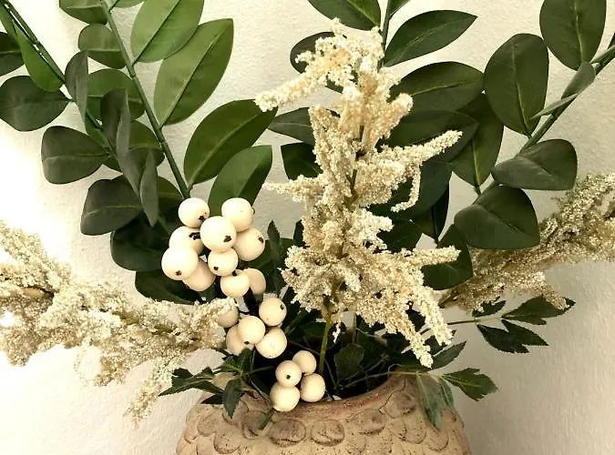 Santa Ana Вилла